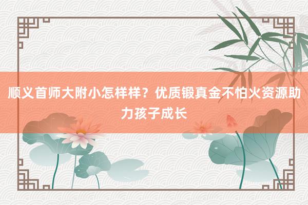 顺义首师大附小怎样样？优质锻真金不怕火资源助力孩子成长