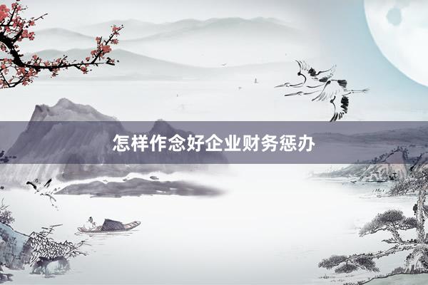怎样作念好企业财务惩办